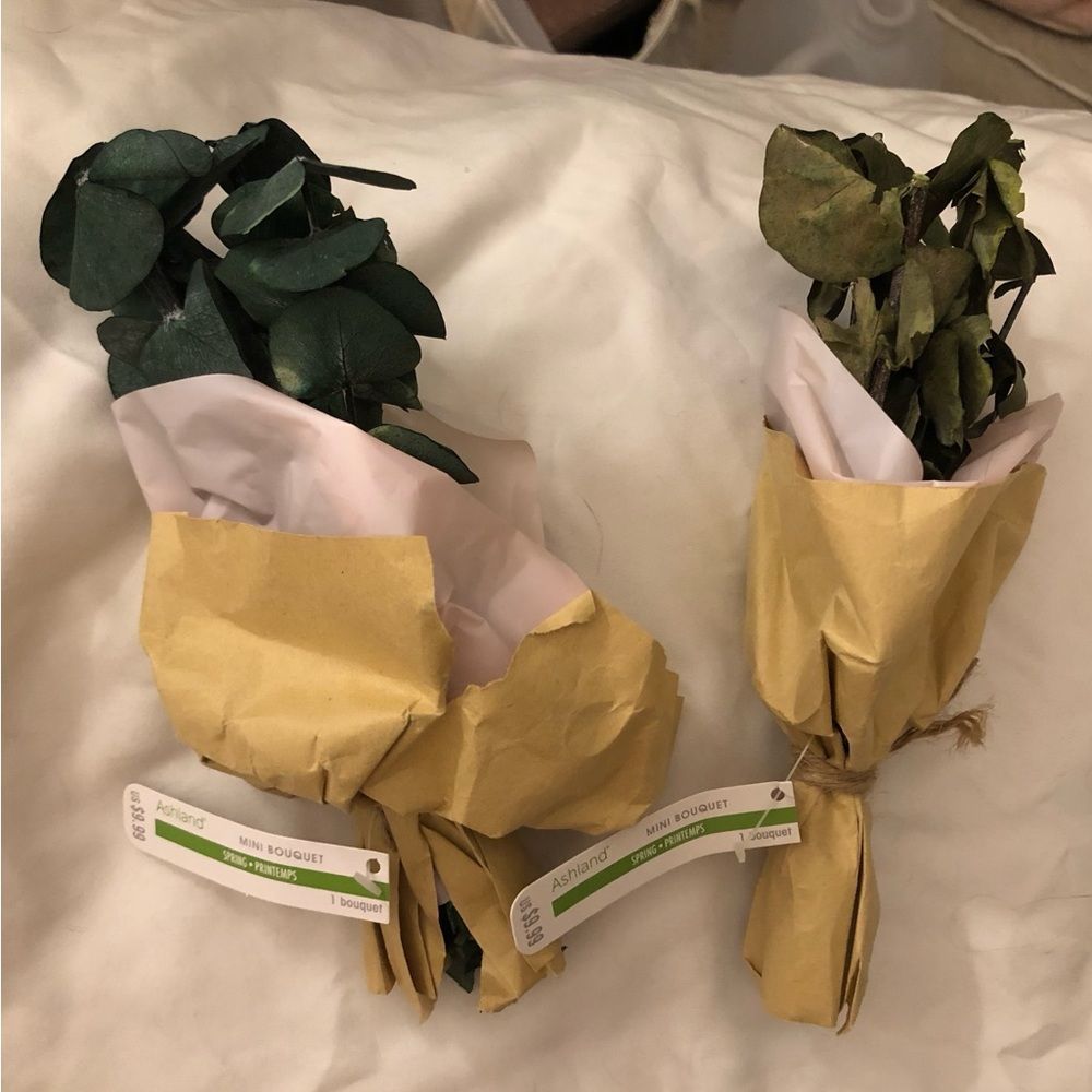 NWT mini bouquet plant-greenery